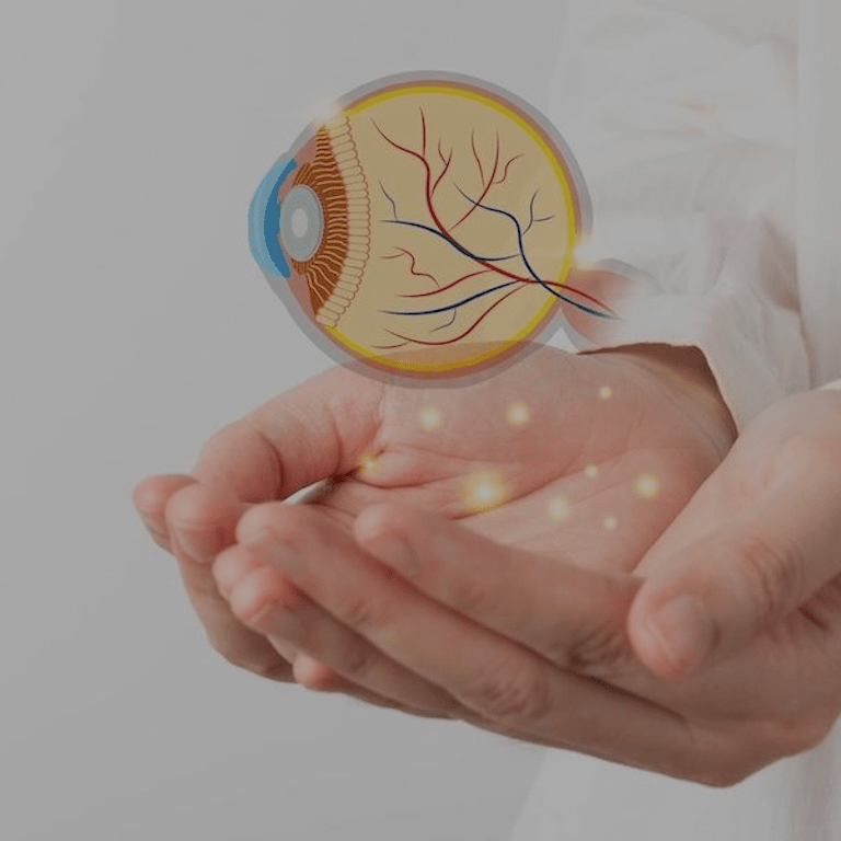 A step closer to Advanced Practice Recognition in optometry